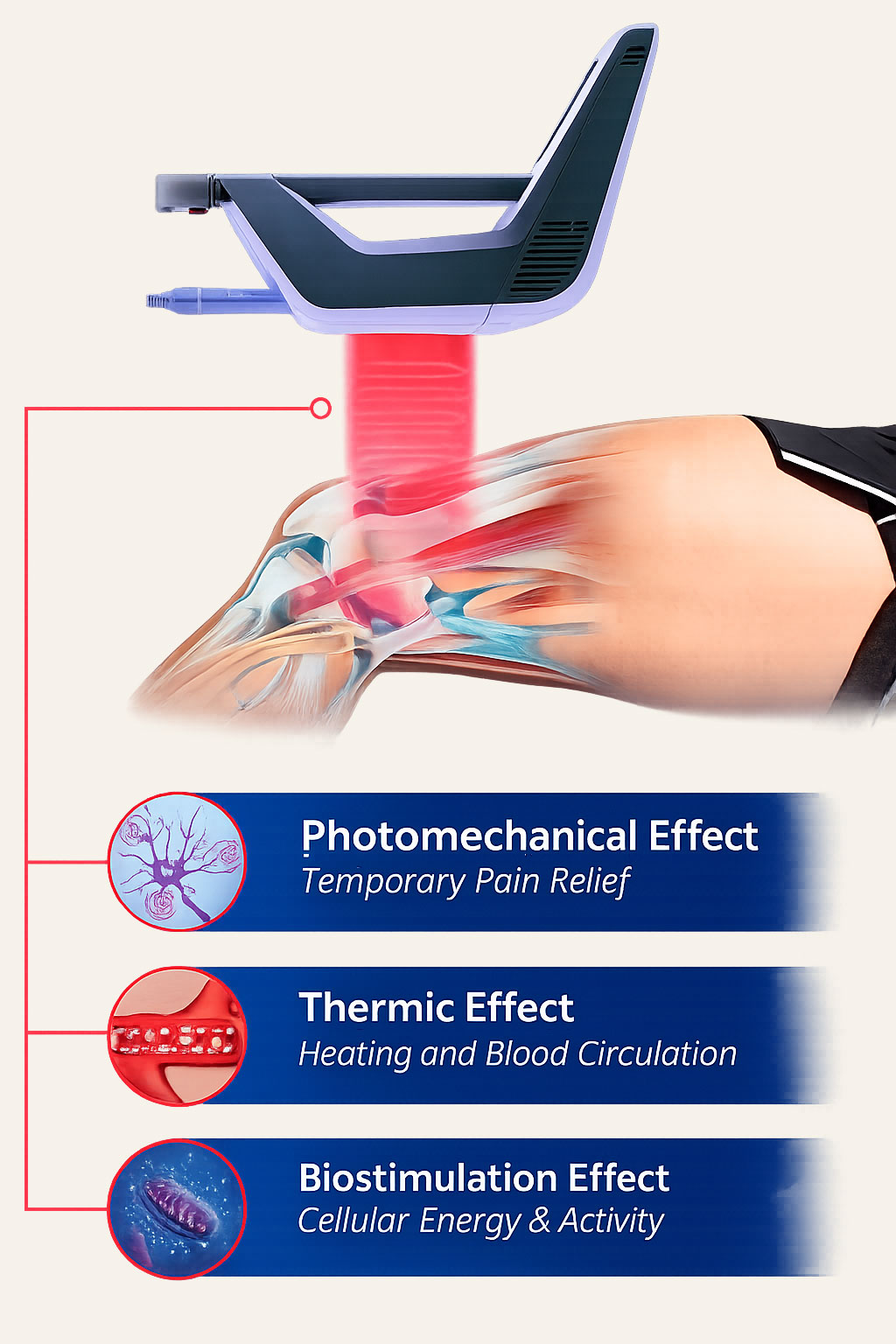 How does EMVITAL work