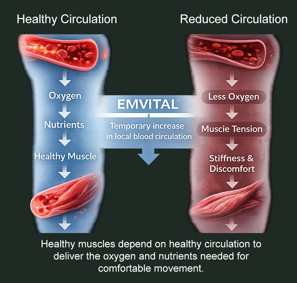 Healthy muscles depend on healthy circulation to deliver the oxygen and nutrients needed for comfortable movement.